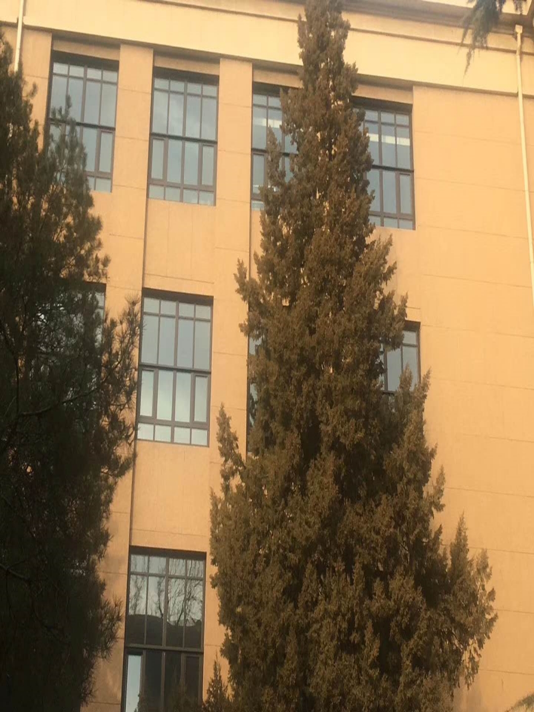 CgAGe1zVFZiAZufGAAIYaZrcSMw277.jpg